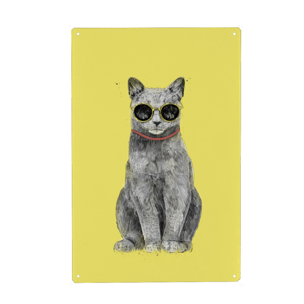 Metall Poster "Summer Cat" artboxONE - Tiere,Lustig - Cat,Animals,Sunglasses,Summer,Sunshine,Drawing,Cool,Cute,Kitty,Yellow,Tier,Funny,Lustig,Katze