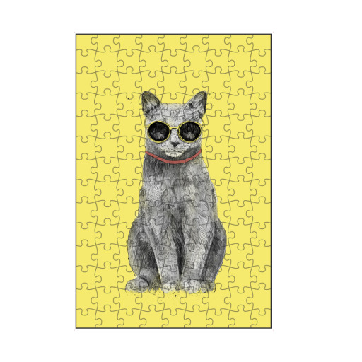 Summer Cat