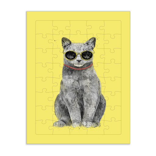 Summer Cat