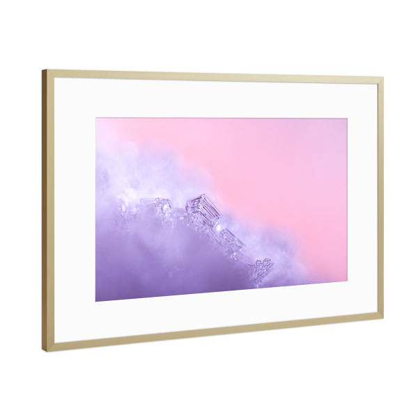 Poster mit Rahmen Gold "Frost" artboxONE - Natur