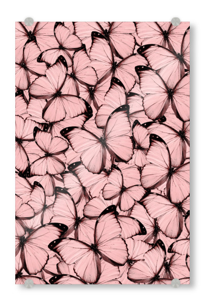Acrylglasbild "Pink Butterflies" artboxONE - Natur,Tiere