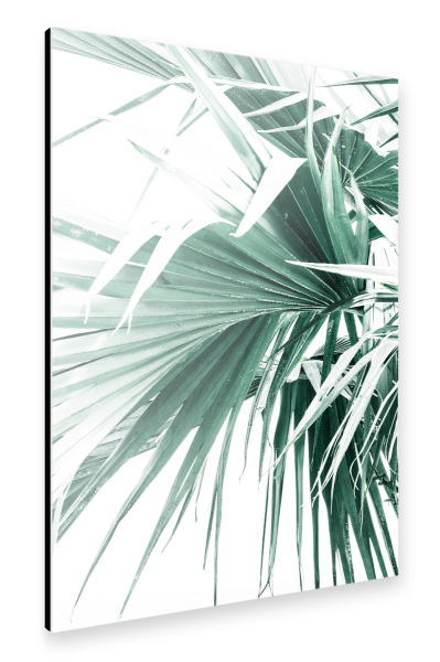 Alu-Dibond "Palm Leaves I" 30x20 cm artboxONE