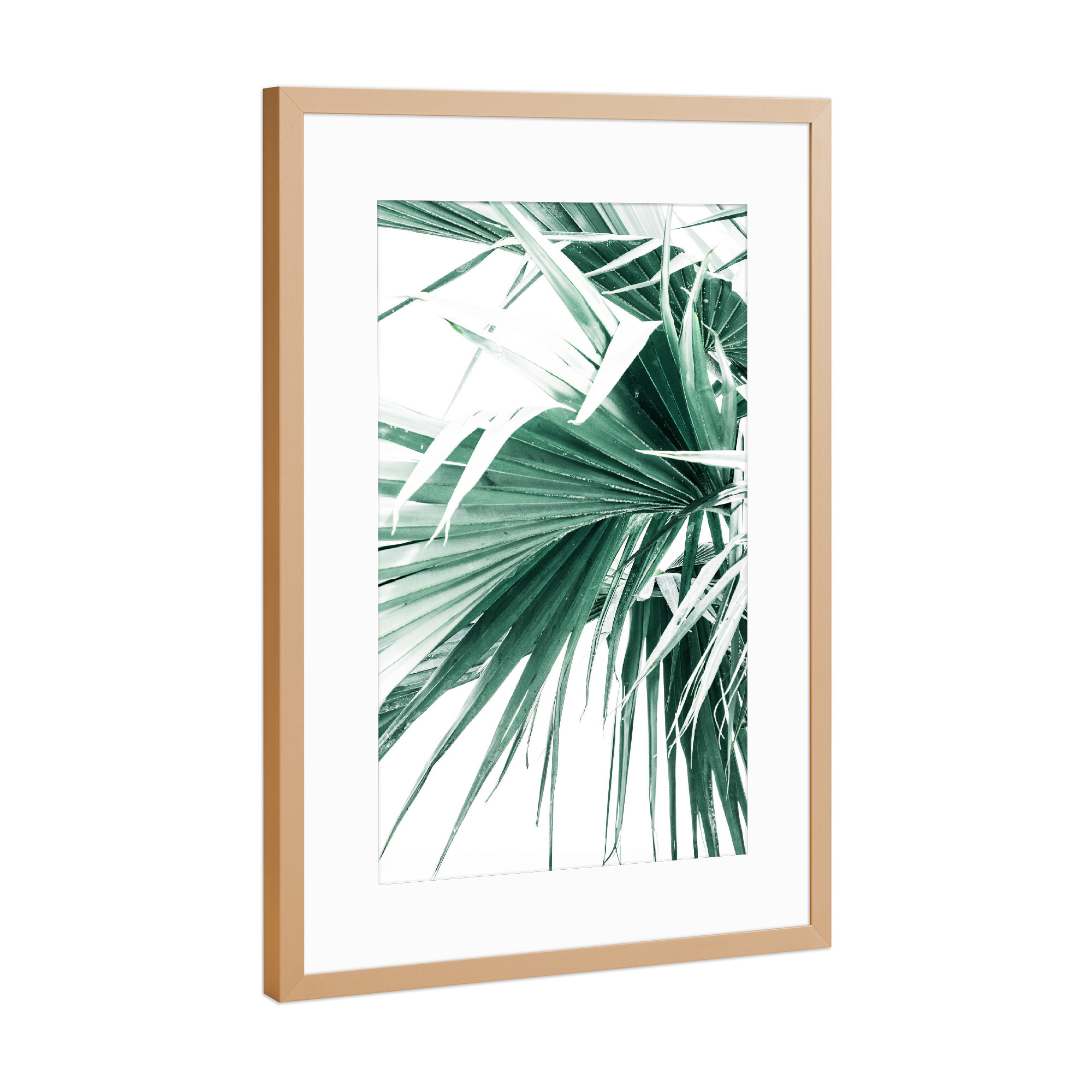 Poster mit Rahmen Kupfer "Palm Leaves I" artboxONE - Natur,Reise,Reise / Strand und Meer