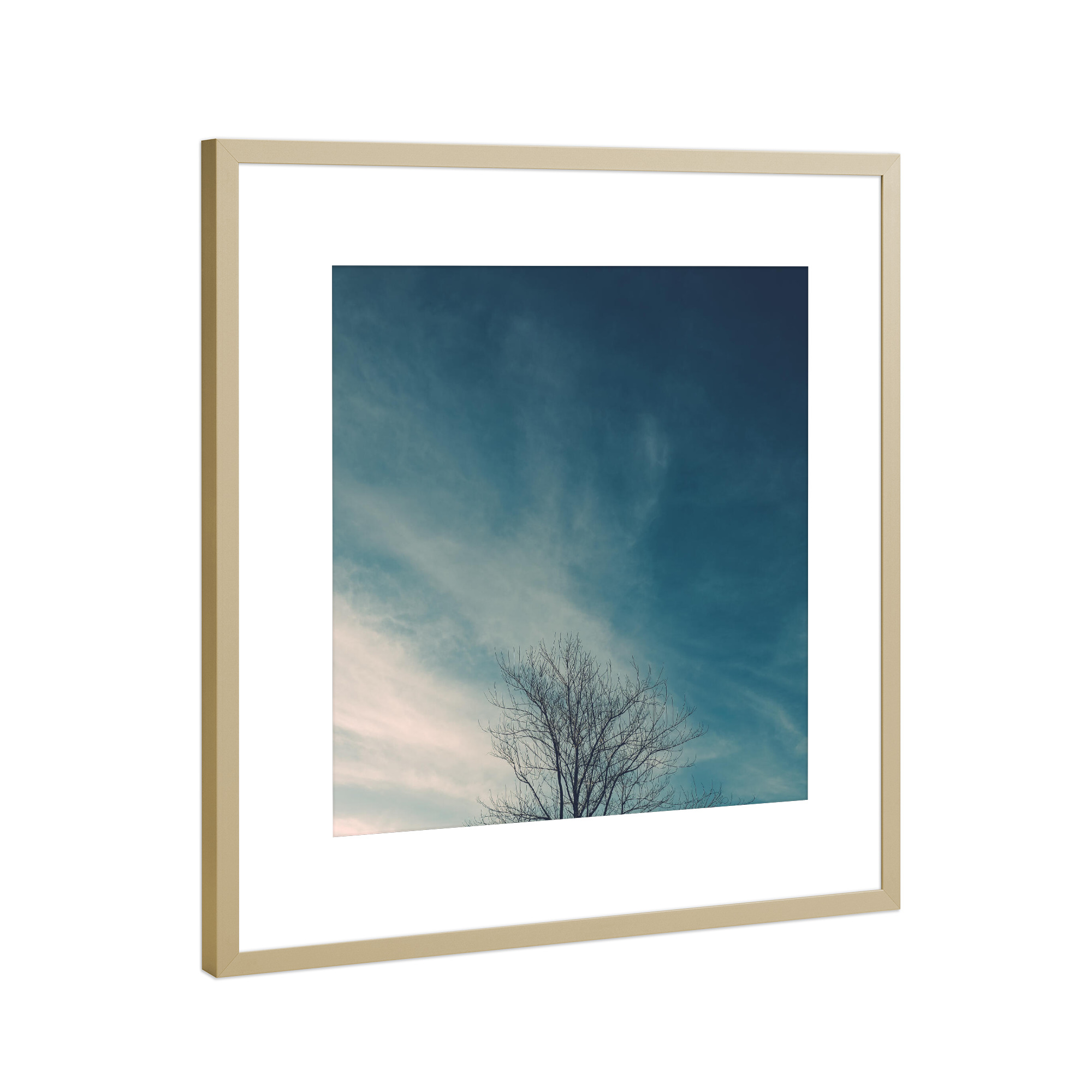 Poster mit Rahmen Gold "Minimal Twigs" artboxONE - Natur - Blue,Nature,Tree,Minimalist,Minimal,Twigs,Branches,Baum,Natur,Sky,Himmel,Wolken