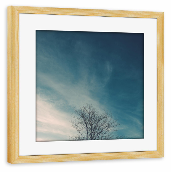 Poster mit Rahmen kiefer "Minimal Twigs" artboxONE - Natur - Blue,Nature,Tree,Minimalist,Minimal,Twigs,Branches,Baum,Natur,Sky,Himmel,Wolken
