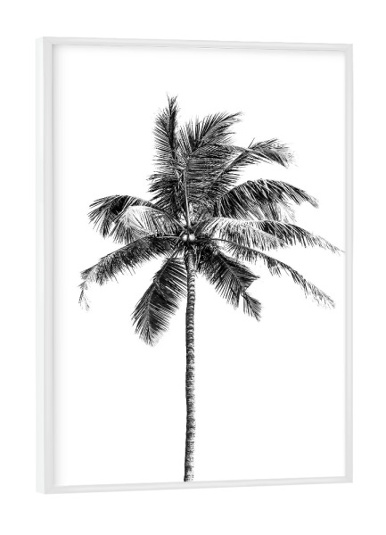 Poster mit weißem Rahmen "Palm tree beach" artboxONE - Natur,Reise,Reise / Strand und Meer