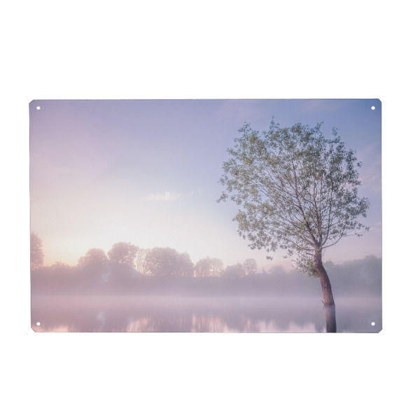 Metall Poster "Nebel am Morgen" artboxONE - Natur