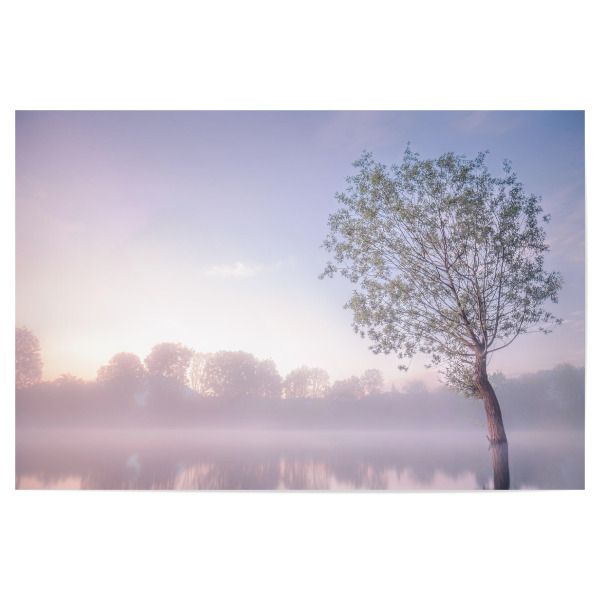 Poster 30x20 cm "Nebel am Morgen" artboxONE - Natur