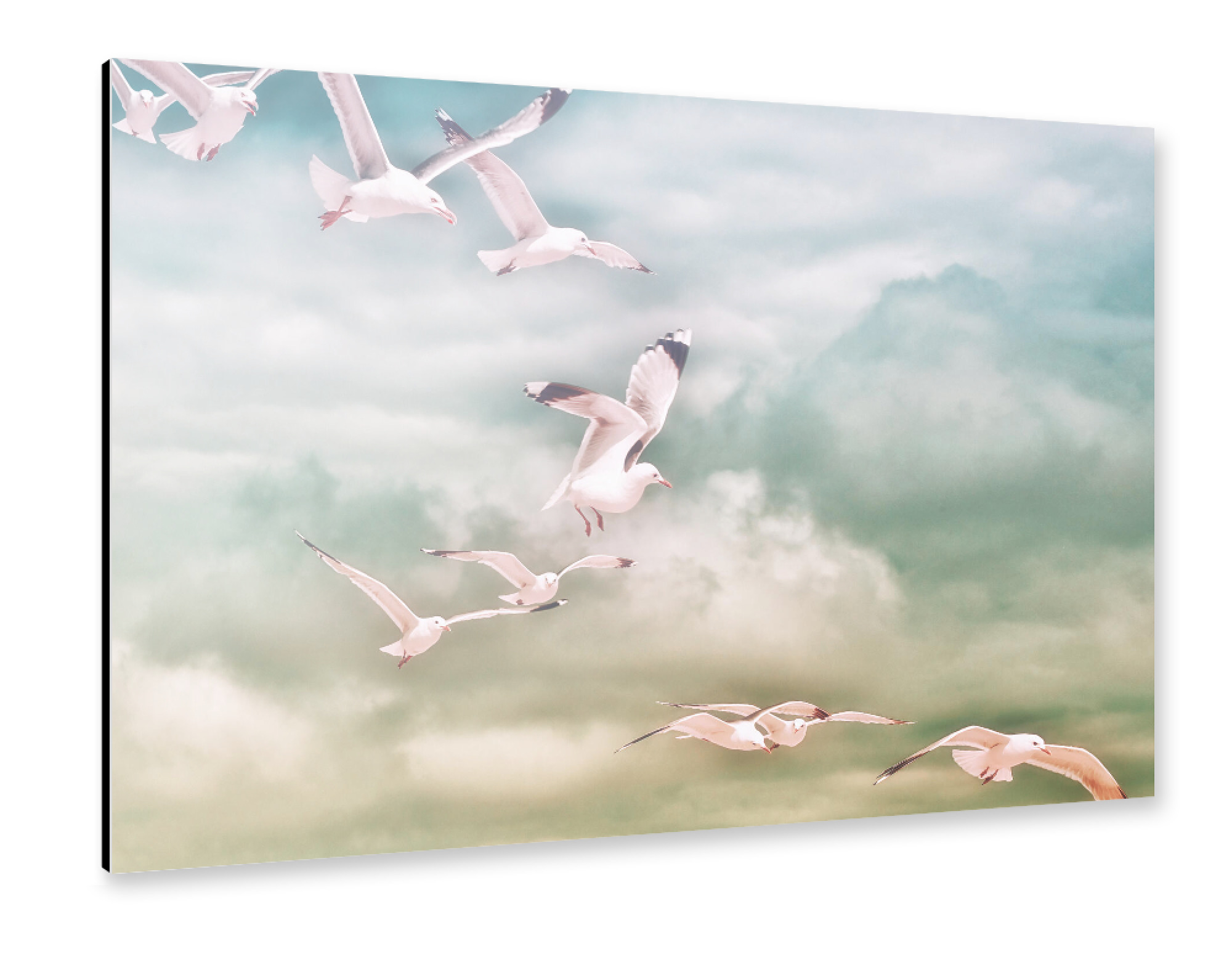 Alu-Dibond "The Flight" 30x20 cm artboxONE