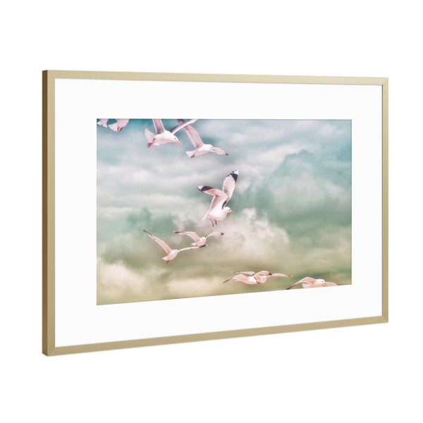 Poster mit Rahmen Gold "The Flight" artboxONE - Natur,Reise,Tiere,Reise / Strand und Meer