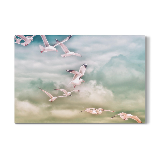 Galerie-Print "The Flight" 30x20 cm artboxONE
