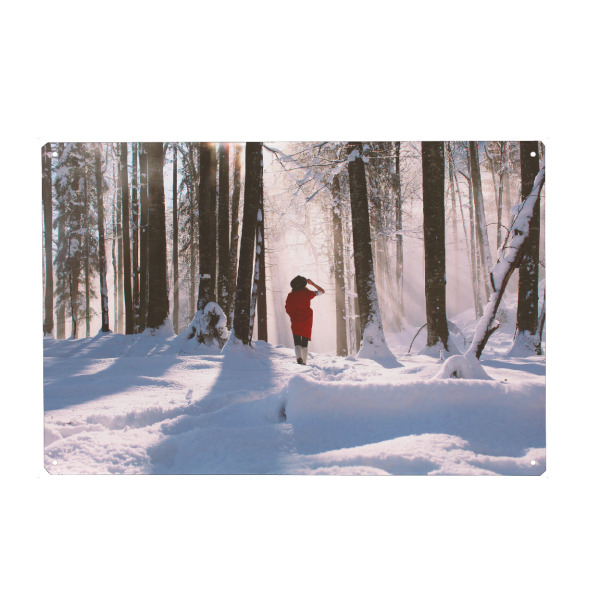 Metall Poster "The Winter Walk" artboxONE - Natur,Menschen