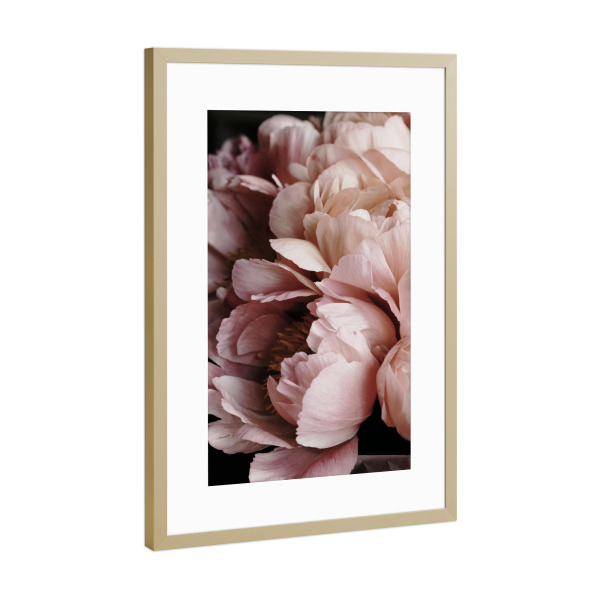 Poster mit Rahmen Gold "Elegant Flower" artboxONE - Natur,Floral,Liebe,Für Mama - Peony,Peonies,Floral,Flower,Elegant,Flowers,Blumen,Closeup,Beauty