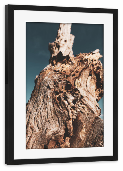 Poster mit Rahmen schwarz "Dryness" artboxONE - Natur - Tree,Trunk,Dry,Desert,Sky,Blue,Baum,Holz,Himmel,Closeup