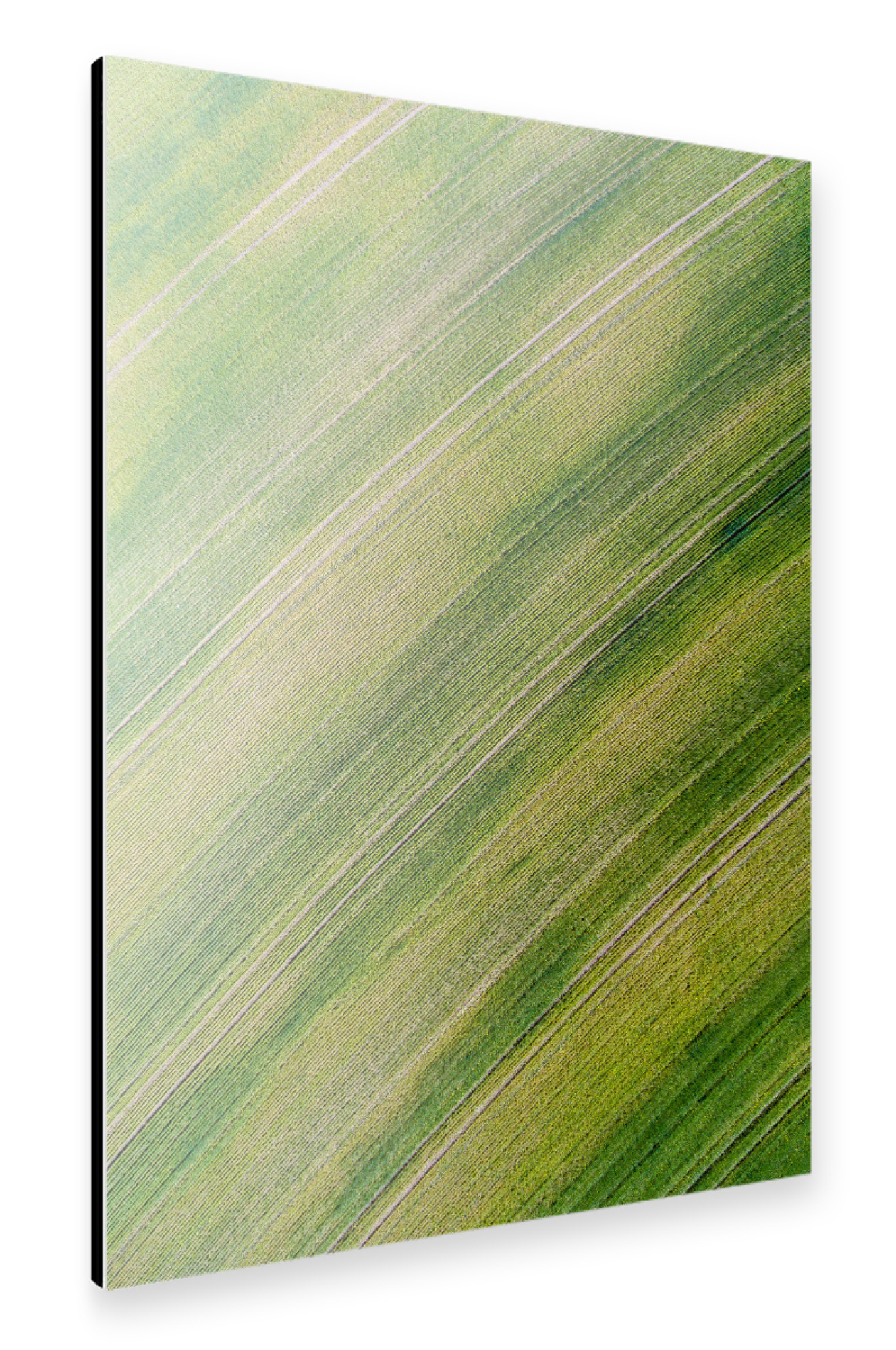 Alu-Dibond "Green carpet" 30x20 cm artboxONE