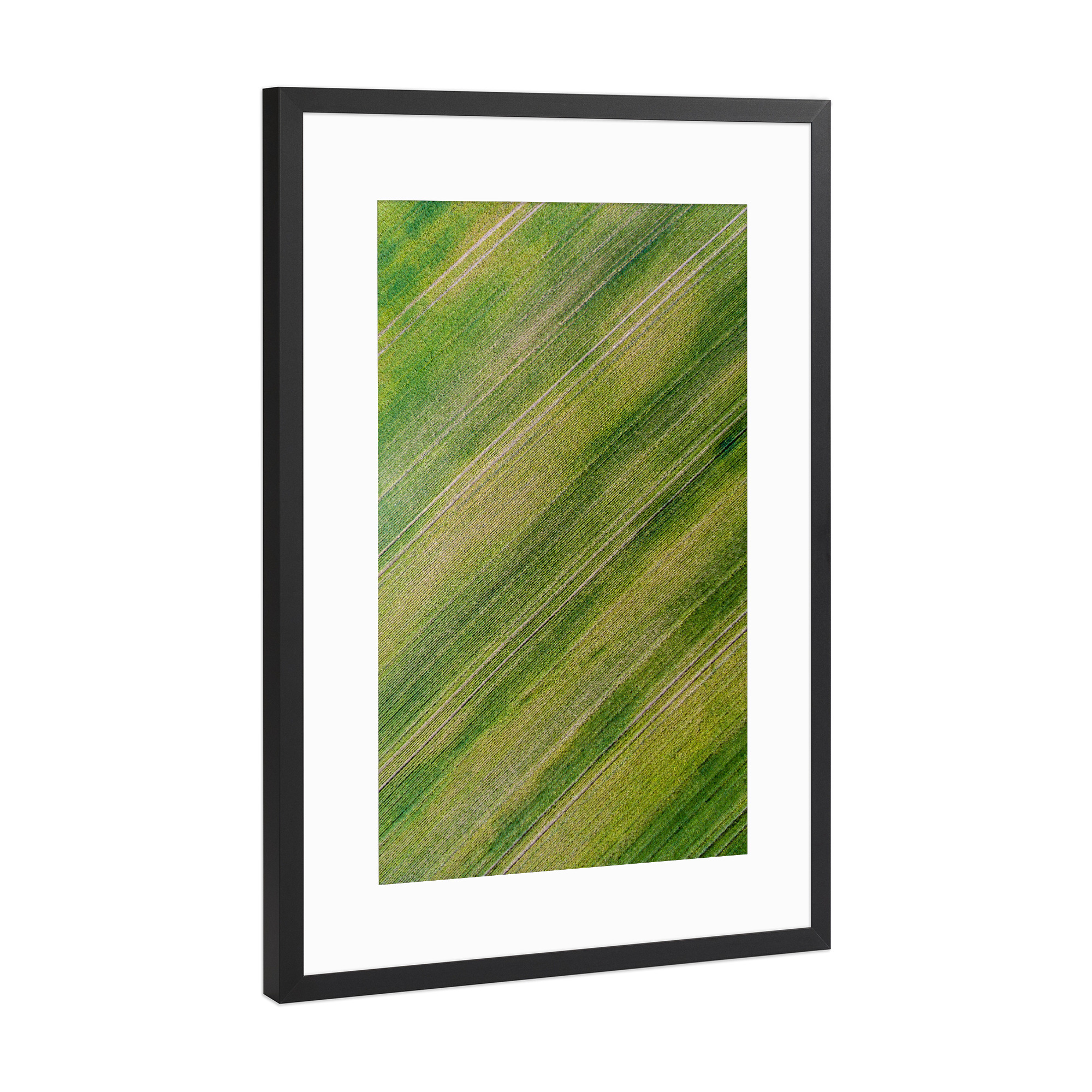 Poster mit Rahmen Schwarz (Metallic) "Green carpet" artboxONE - Natur,Floral,Abstrakt
