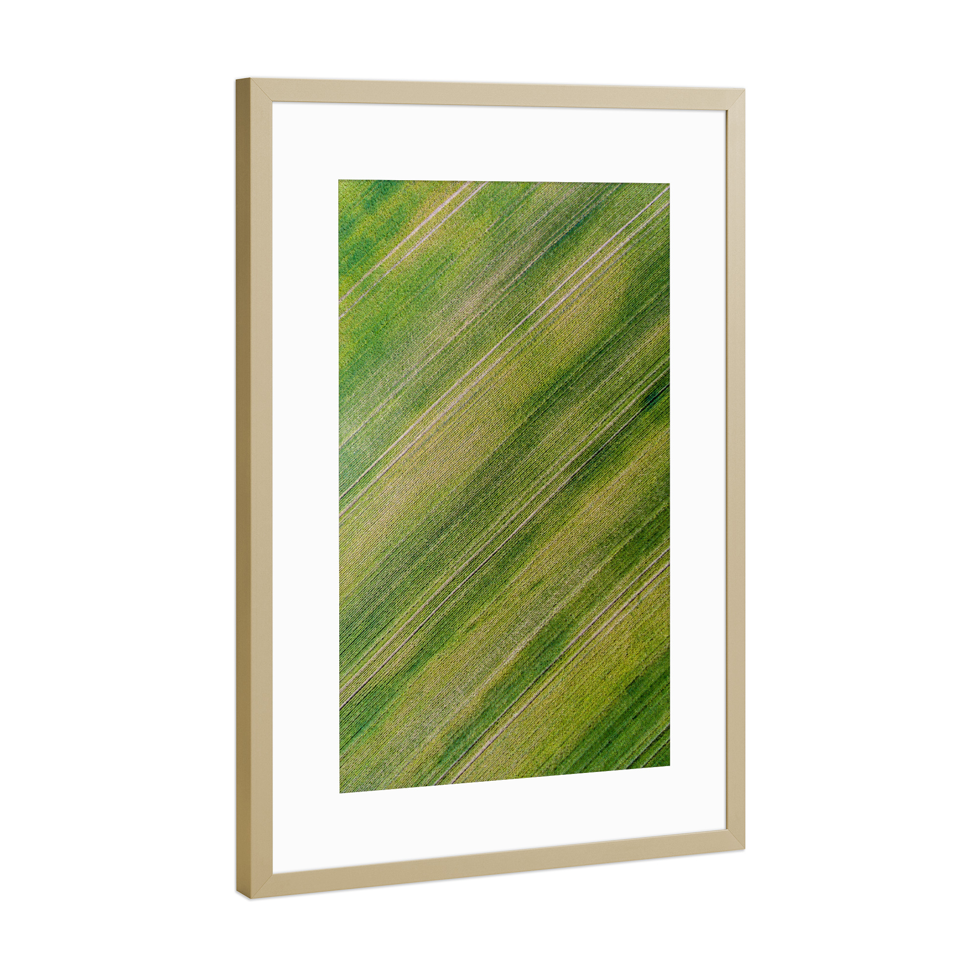 Poster mit Rahmen Gold "Green carpet" artboxONE - Natur,Floral,Abstrakt
