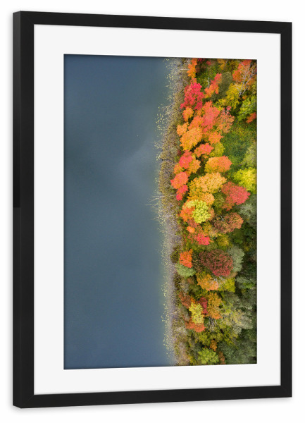 Poster mit Rahmen schwarz "Autumn coast" artboxONE - Natur,Reise,Floral