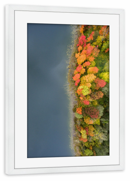 Poster mit Rahmen weiß "Autumn coast" artboxONE - Natur,Reise,Floral
