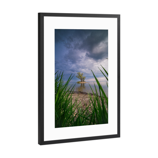 Poster mit Rahmen Schwarz (Metallic) "Aus dem Gebüsch" artboxONE - Natur,Reise / Länder
