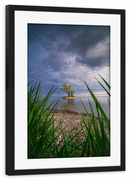 Poster mit Rahmen schwarz "Aus dem Gebüsch" artboxONE - Natur,Reise / Länder