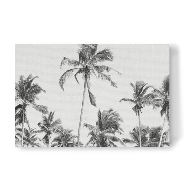 Leinwandbild "Palm Trees at the beach" artboxONE - Natur,Reise