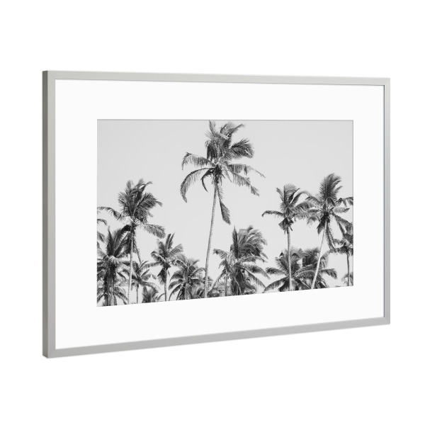 Poster mit Rahmen Silber "Palm Trees at the beach" artboxONE - Natur,Reise