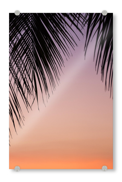 Acrylglasbild "Summer Dawn Dyptich B" artboxONE - Natur - Nature,Hot,Summer,Palme,Beach,Strand,Sommer,Sky,Himmel,Palm tree,Silhouette,Sunrise,Dawn