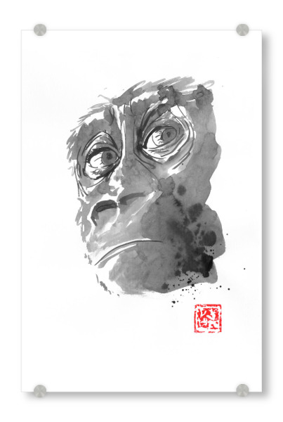 Acrylglasbild "Face the reality" artboxONE - Tiere - Monkey,Gorilla,Chimpanzee,Affe,Tier,Animal,Face,Gesicht,Orangutan,Sumie,Japan,Ape