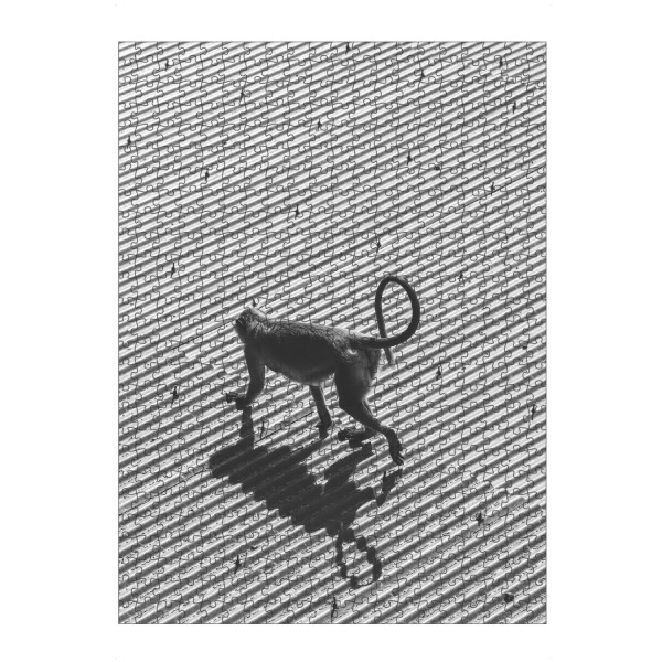 artboxONE Puzzle "Monkey Business" artboxONE - Reise,Tiere