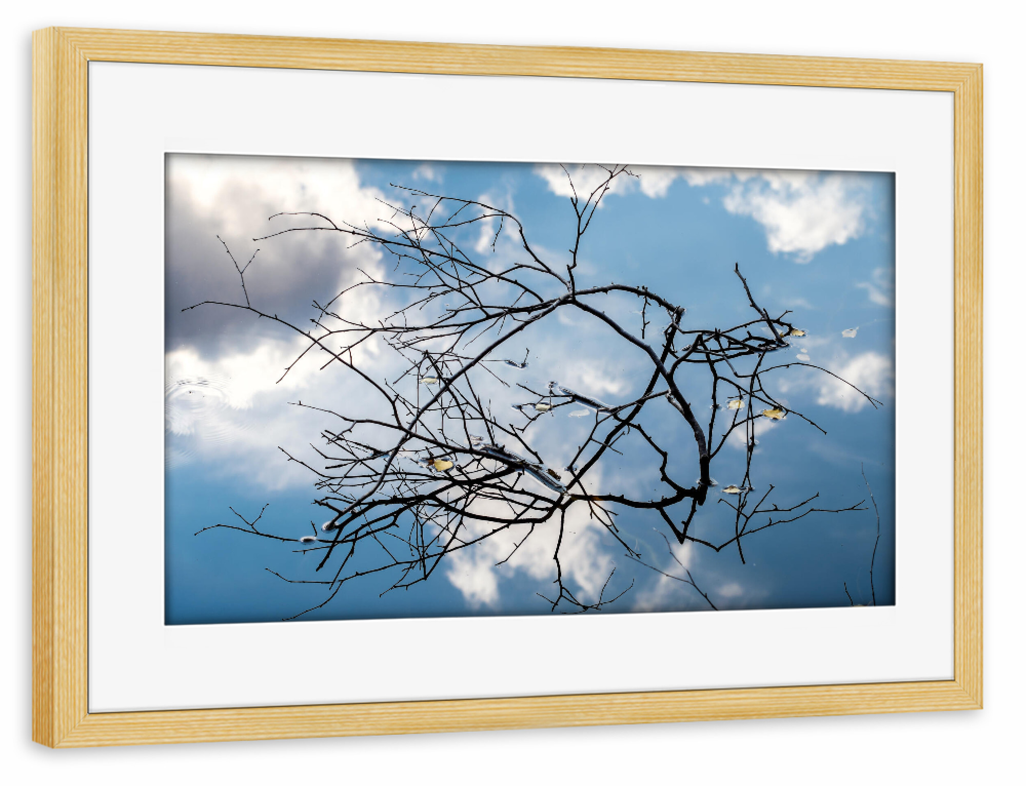 Poster mit Rahmen kiefer "Himmlisch" artboxONE - Natur,Reise / Länder