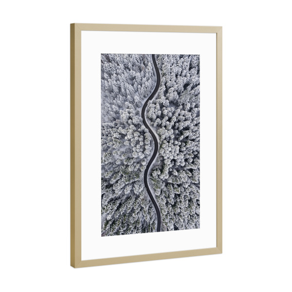 Poster mit Rahmen Gold "Winter snake" artboxONE - Natur,Reise