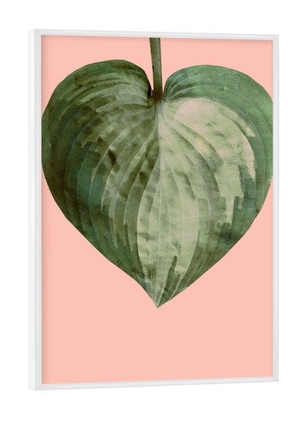 Poster mit weißem Rahmen "Shadows Leaf on Pink" artboxONE - Natur - Greenery,Interiors,Pink,Leaf,Shadow,Watercolor,Blatt,Natur,Nature