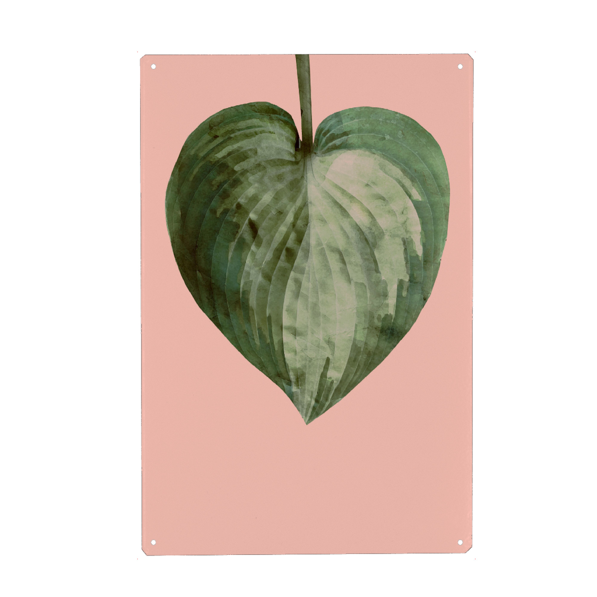 Metall Poster "Shadows Leaf on Pink" artboxONE - Natur - Greenery,Interiors,Pink,Leaf,Shadow,Watercolor,Blatt,Natur,Nature - Blechschild