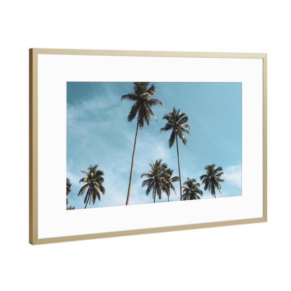 Poster mit Rahmen Gold "Blue sky and palmtrees" artboxONE - Natur,Reise,Reise / Strand und Meer