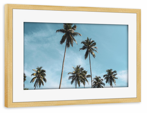 Poster mit Rahmen kiefer "Blue sky and palmtrees" artboxONE - Natur,Reise,Reise / Strand und Meer