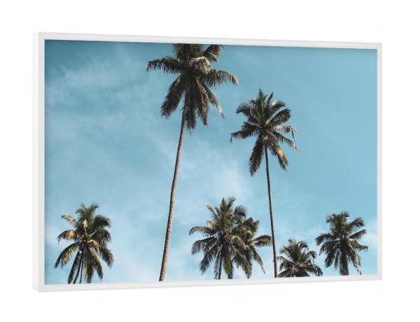 Poster mit weißem Rahmen "Blue sky and palmtrees" artboxONE - Natur,Reise,Reise / Strand und Meer