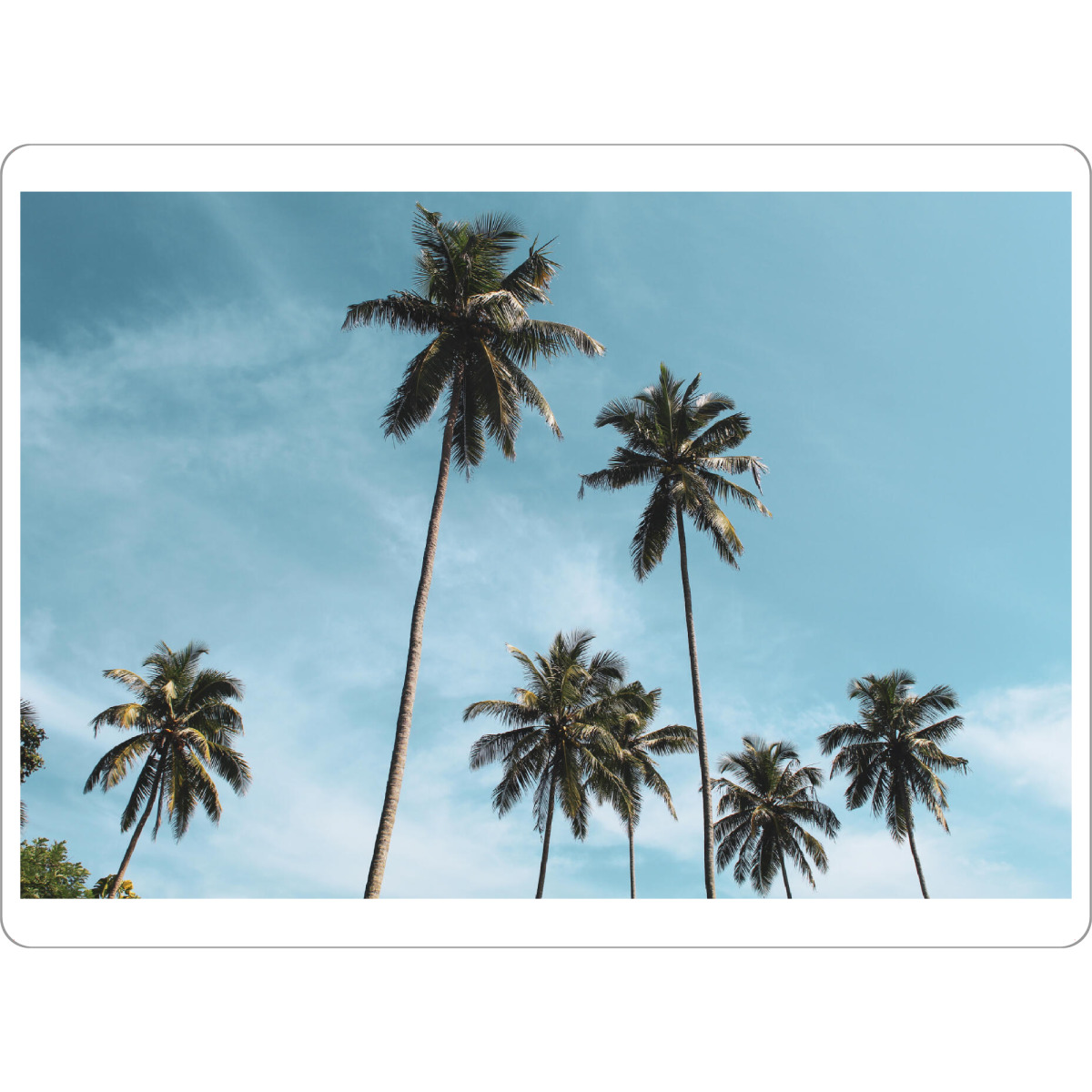 Tischset "Blue sky and palmtrees" artboxONE - Natur,Reise,Reise / Strand und Meer