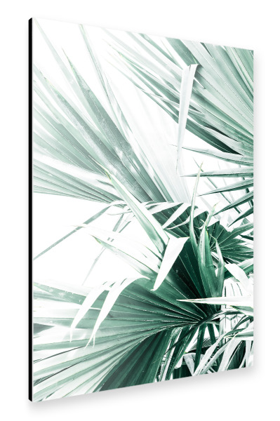 Alu-Dibond "Tropical Green Palm Leaves" 30x20 cm artboxONE