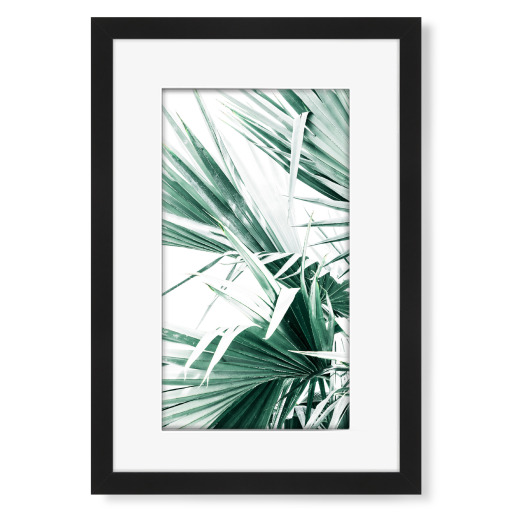 Tropical Green Palm Leaves