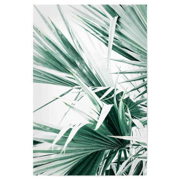 Poster 30x20 cm "Tropical Green Palm Leaves" artboxONE - Natur,Reise,Floral,Reise / Strand und Meer