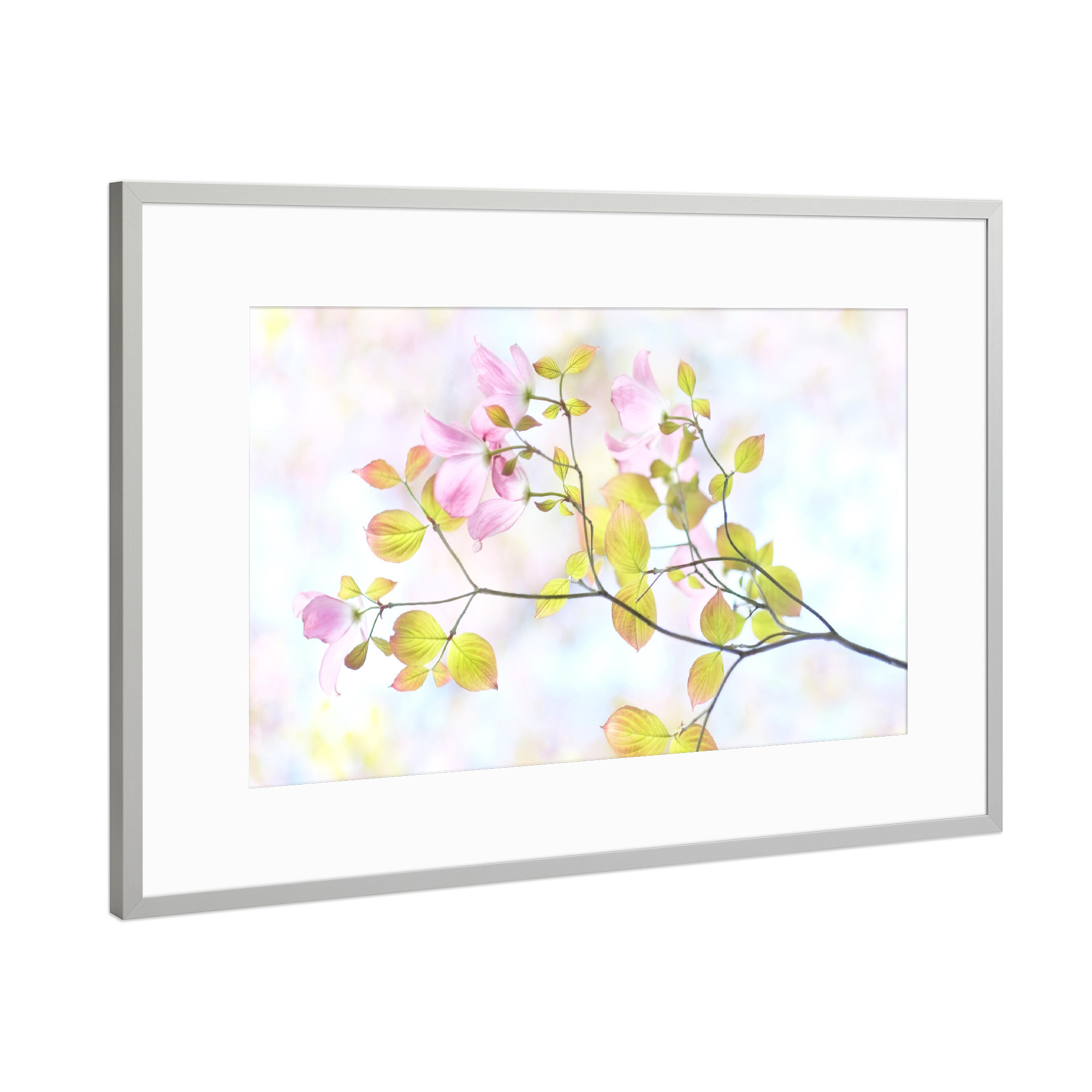 Poster mit Rahmen Silber "Art by Nature Spring in Pink" artboxONE - Natur,Floral