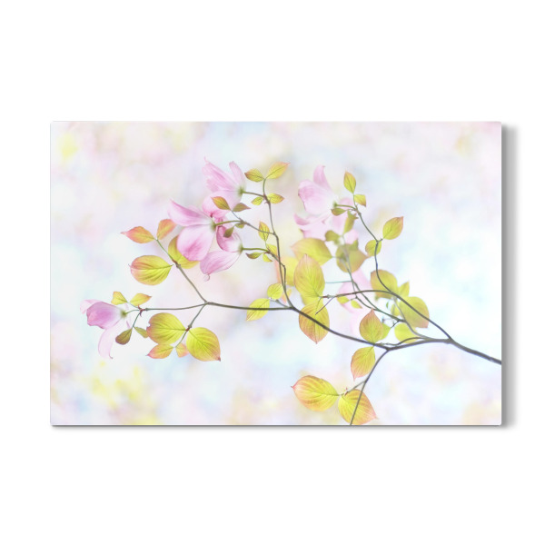 Galerie-Print "Art by Nature Spring in Pink" 30x20 cm artboxONE