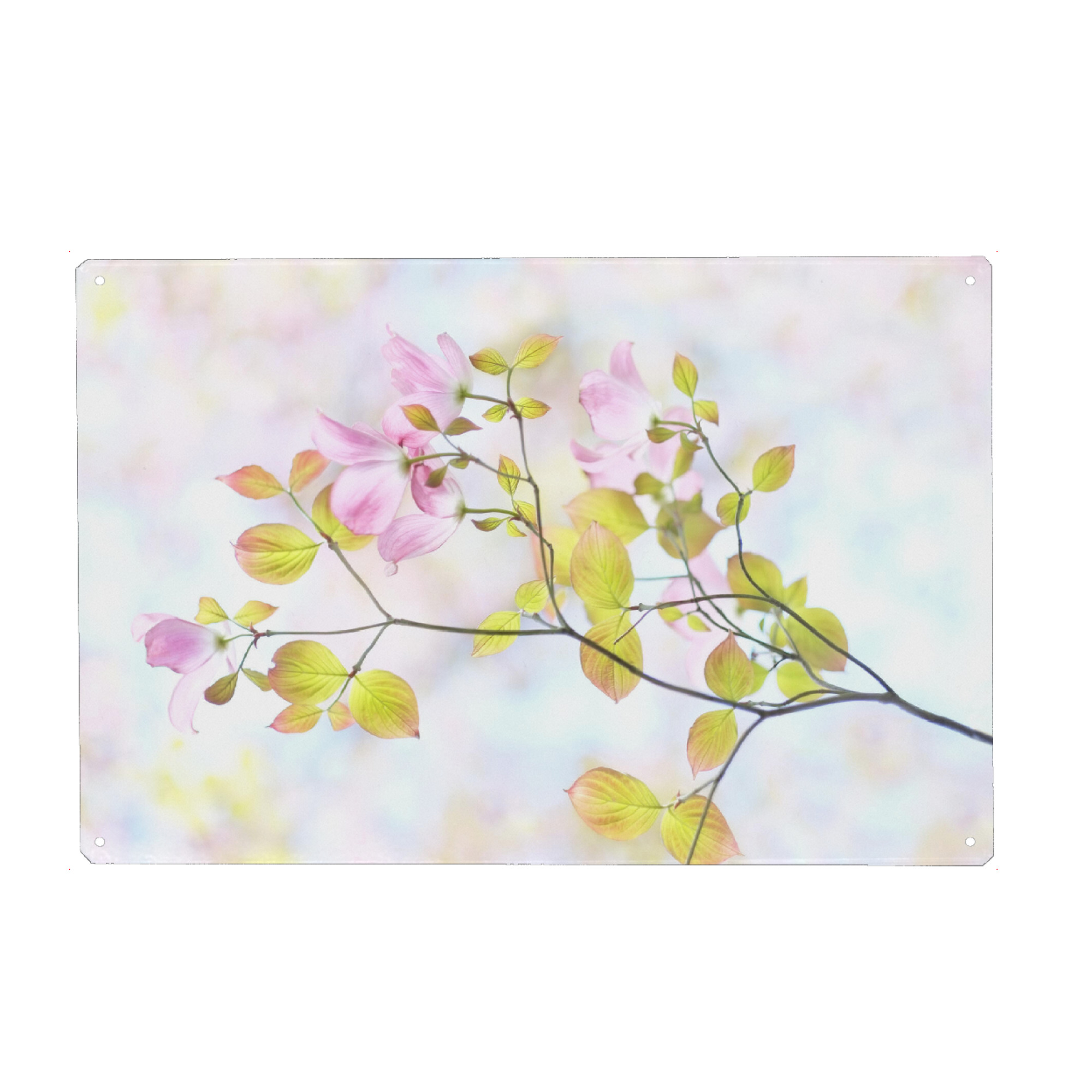 Holzbild "Art by Nature Spring in Pink" artboxONE - Natur,Floral