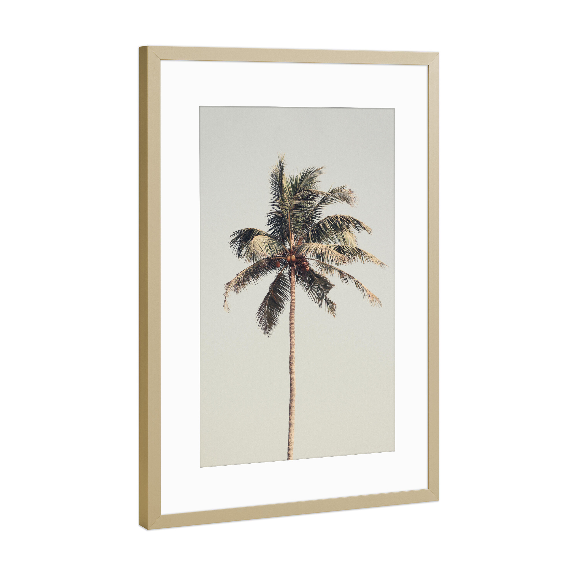 Poster mit Rahmen Gold "Palm tree by the beach" artboxONE - Natur,Reise,Reise / Strand und Meer,Reise / Länder