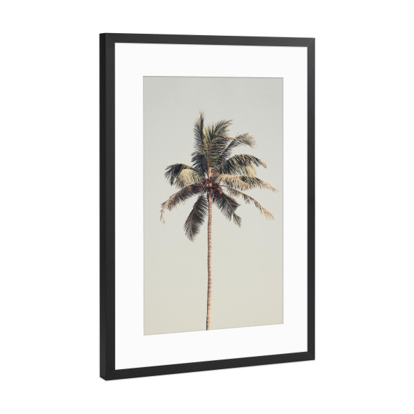 Poster mit Rahmen Schwarz (Metallic) "Palm tree by the beach" artboxONE - Natur,Reise,Reise / Strand und Meer,Reise / Länder