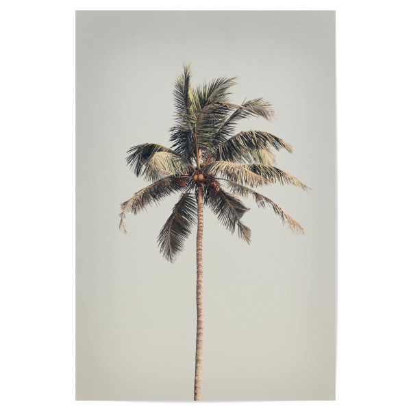 Poster "Palm tree by the beach" artboxONE - Natur,Reise,Reise / Strand und Meer,Reise / Länder