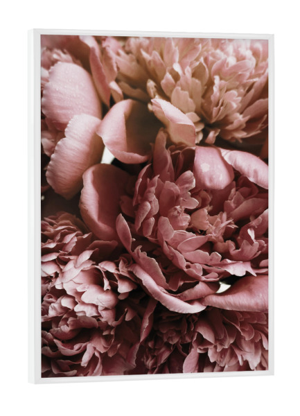 Poster mit weißem Rahmen "Elegant Peonies" artboxONE - Natur,Floral,Liebe,Für Mama