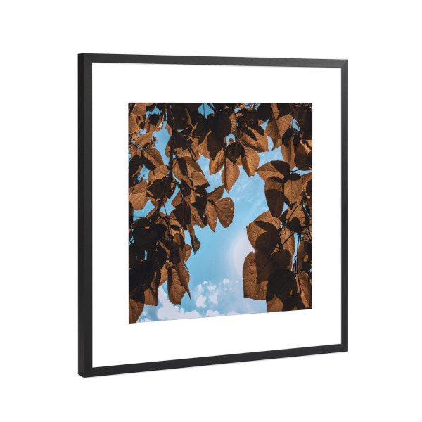 Poster mit Rahmen Schwarz (Metallic) "Rusty Leaves" artboxONE - Natur,Floral - Leaves,Leaf,Botanical,Garden,Blätter,Tree,Baum,Natur,Nature,Sky,Himmel