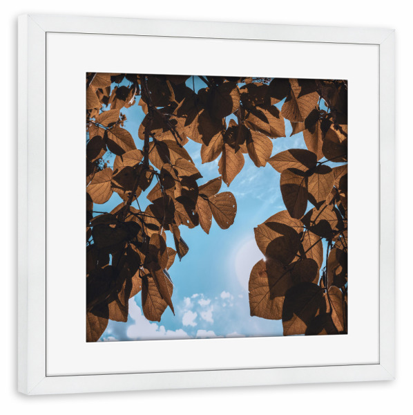Poster mit Rahmen weiß "Rusty Leaves" artboxONE - Natur,Floral - Leaves,Leaf,Botanical,Garden,Blätter,Tree,Baum,Natur,Nature,Sky,Himmel